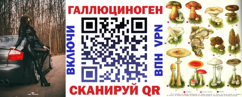 Купить где  Красный Холм  Псилоцибиновые грибы Magic Shrooms 